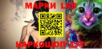 молекула духа Кингисепп