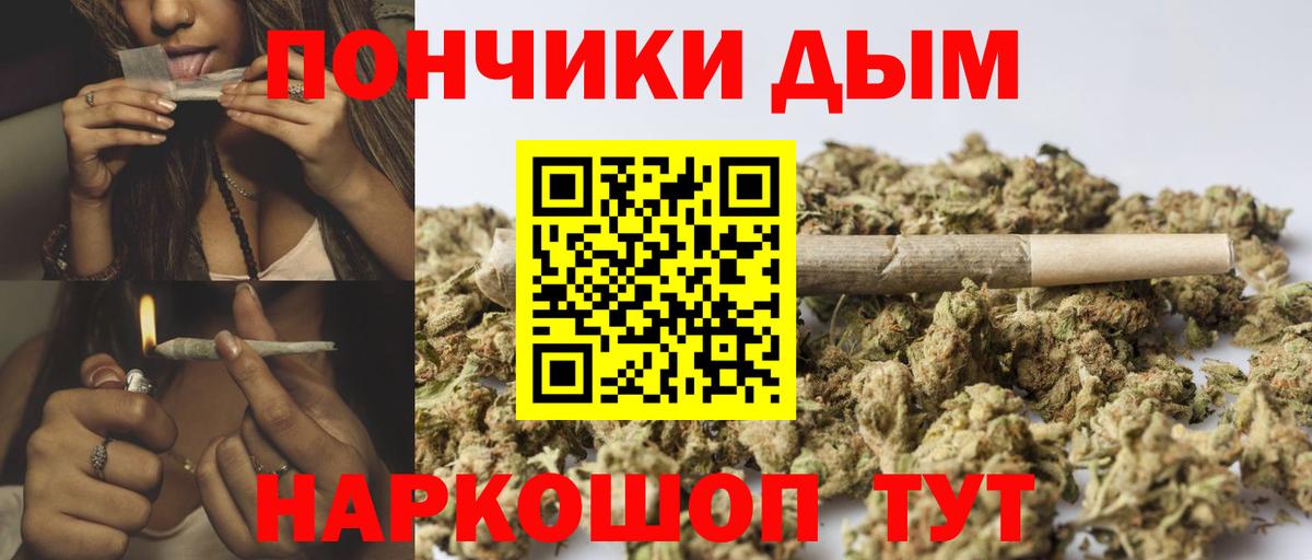 Канабис план Кувандык